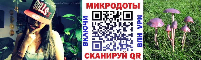 блэк спрут зеркало  Родники  Галлюциногенные грибы Psilocybe 