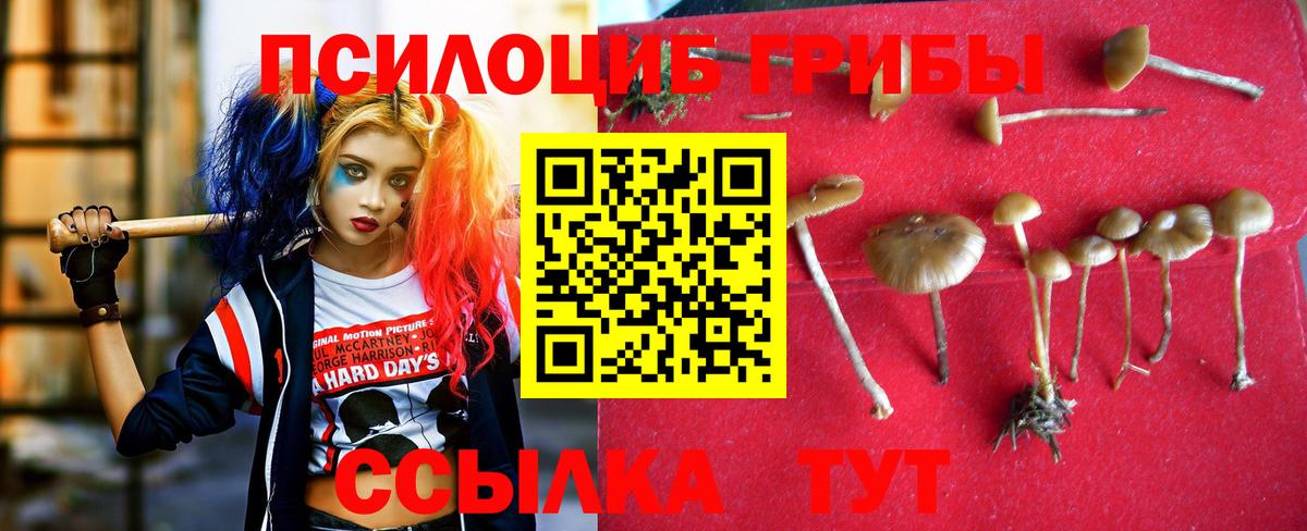 Псилоцибиновые грибы мицелий Родники
