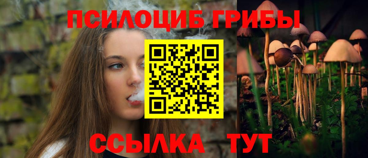 Родники  где продают   Вход с VPN  Псилоцибиновые грибы Psilocybe 